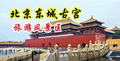 GF99.cme中国北京-东城古宫旅游风景区